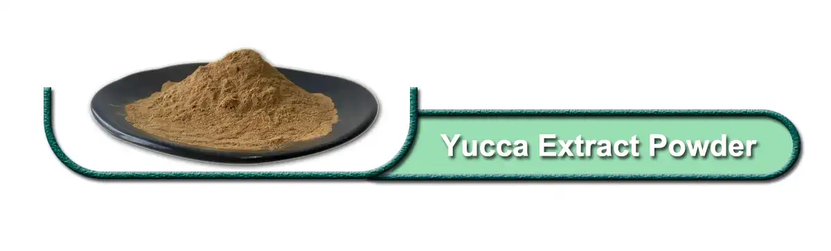 Yucca Extract.jpg